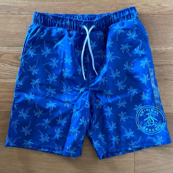 Big boy size 14 bathing suit - Picture 1 of 4